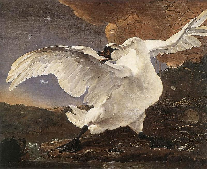 ASSELYN, Jan The Threatened Swan oil painting picture